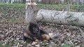 rudel (28)